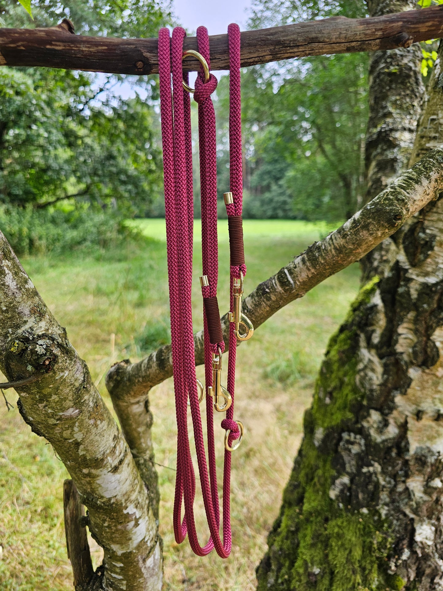 Tauleine / Welpenleine 3,10 Meter