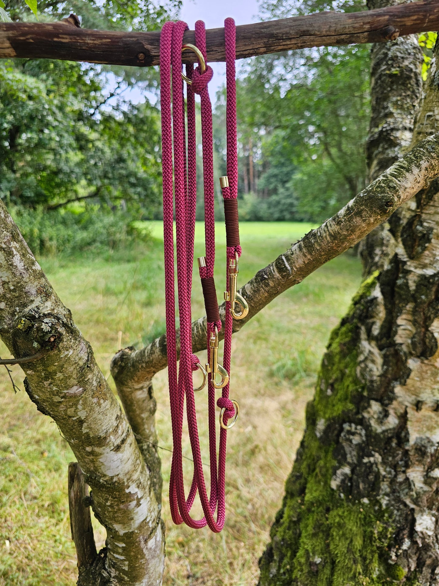 Tauleine / Welpenleine 3,10 Meter