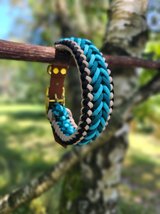 Hundehalsband aus Paracord / Paracordhalsband