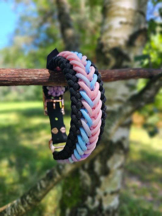 Hundehalsband aus Paracord / Paracordhalsband